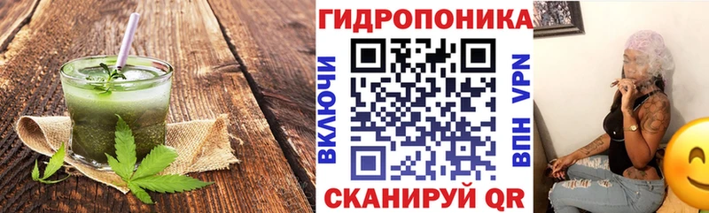 где купить наркоту  это наркотические препараты  Cannafood марихуана  Красный Холм 